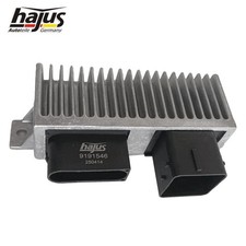 Hajus Steuergerät Glühzeit